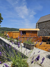 Load image into Gallery viewer, Castle Vinica Outdoor Entrance Ticket
