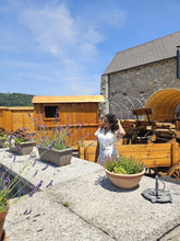 Load image into Gallery viewer, Castle Vinica Outdoor Entrance Ticket
